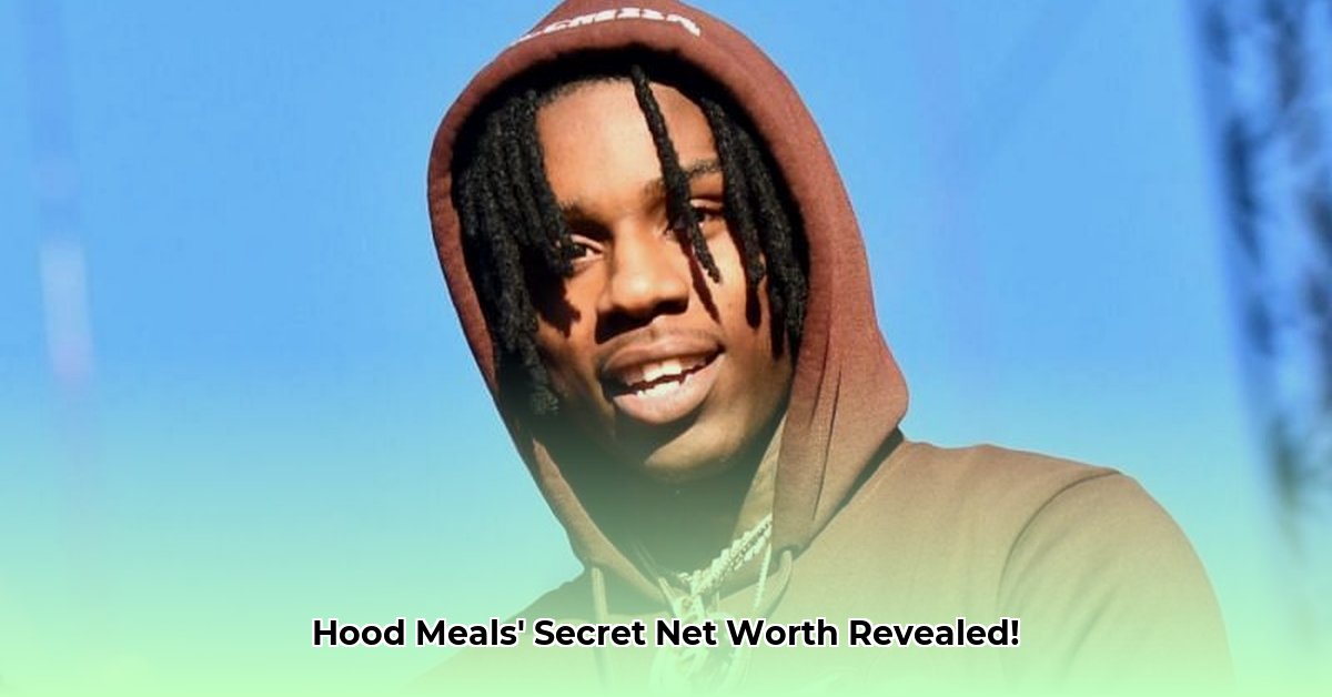 hood-meals-net-worth